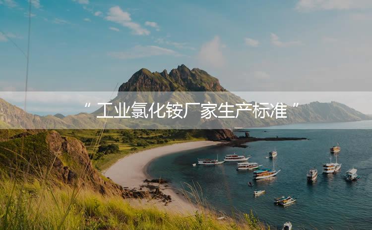 工業(yè)氯化銨廠家生產(chǎn)標(biāo)準(zhǔn)，生產(chǎn)過程進(jìn)行嚴(yán)密的監(jiān)控！